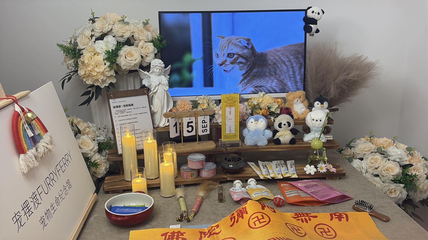 如何面对宠物离世的悲伤？写给惠州养宠人的心理支持