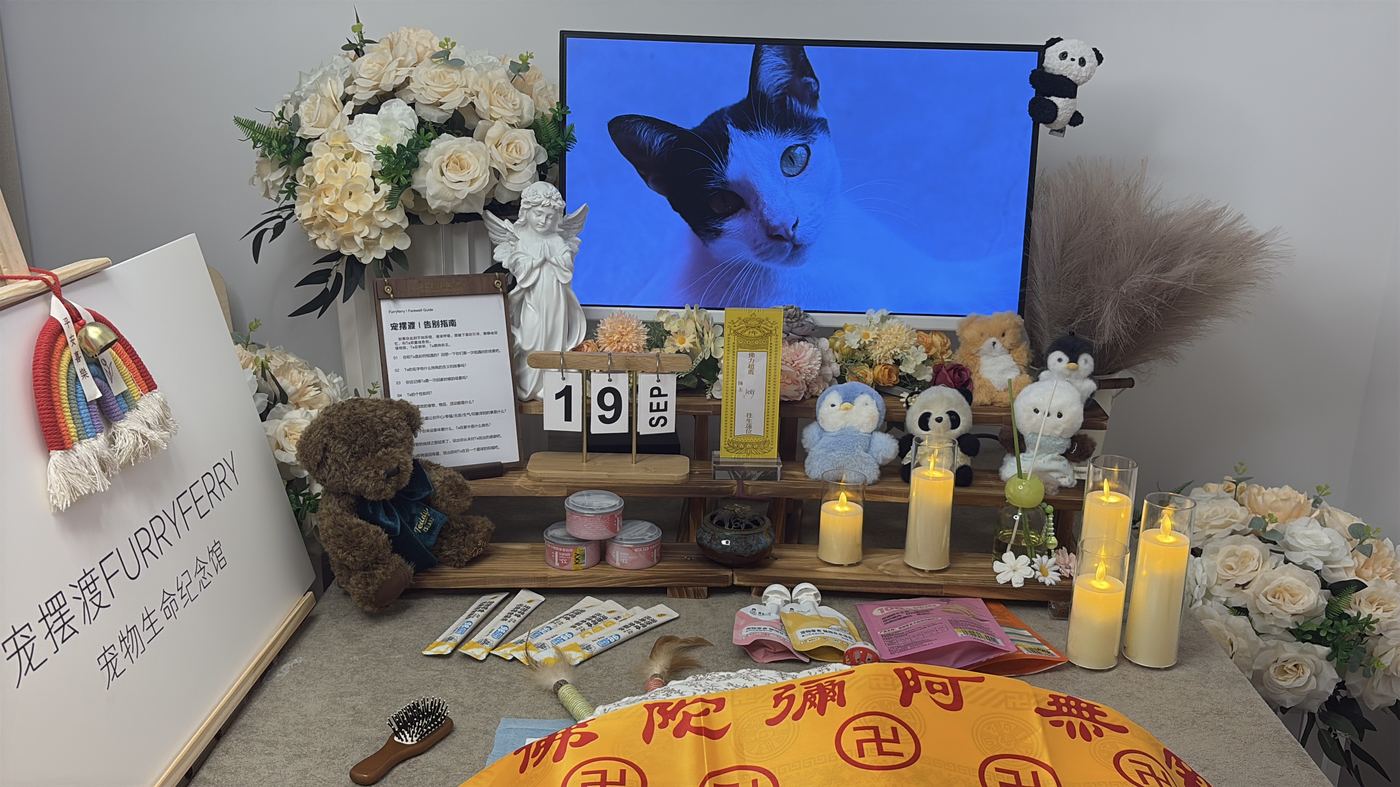 惠州宠物告别厅布置：如何给鹅城家属一个体面的告别