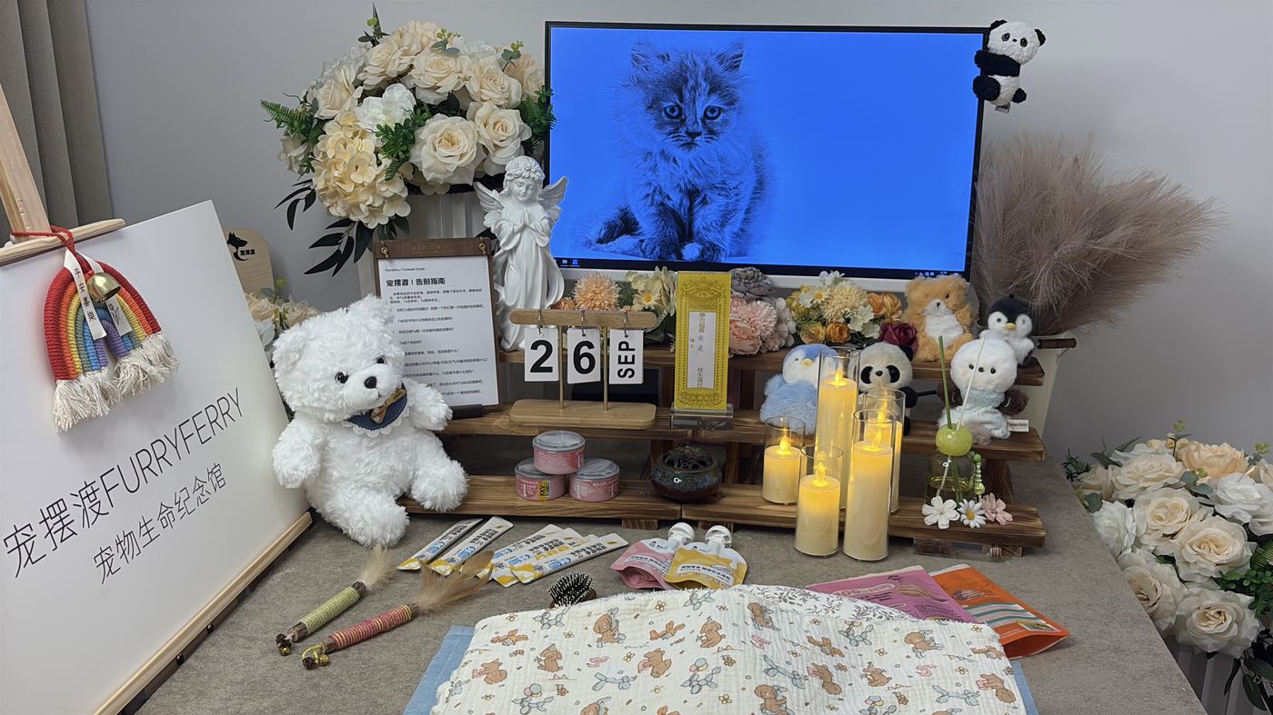 如何挑选靠谱的宠物殡葬机构？惠州选择指南